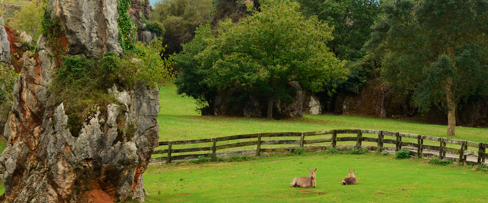 Parque de Cabárceno